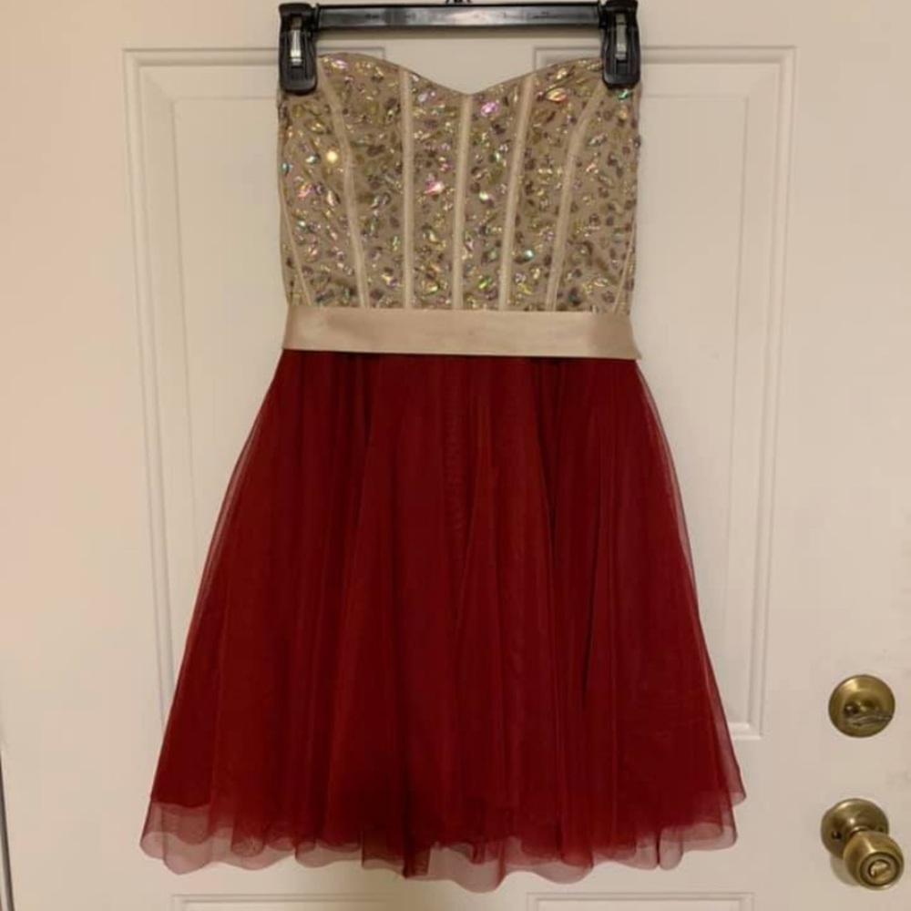 Dress my daughter wore 1x